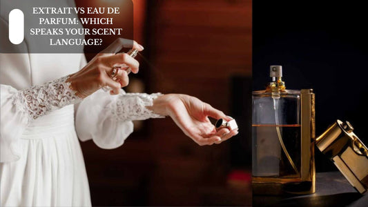 Extrait vs Eau De Parfum: Which Speaks Your Scent Language?