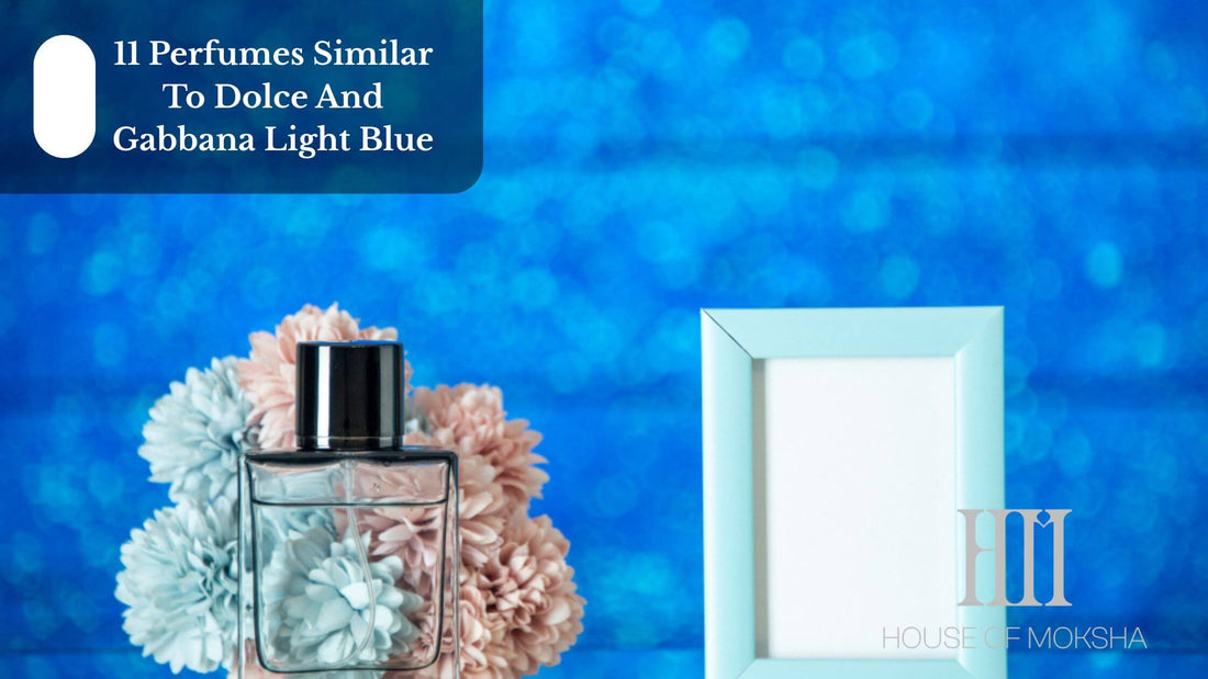 11 Perfumes Similar To Dolce And Gabbana Light Blue